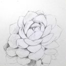 어반스케치 미술산책 이미지