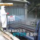 토박이식육식당