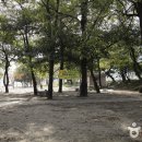 새나리로 이미지