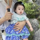 박수홍 카카오 검색결과