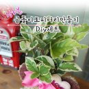 운양초병설유치원 네이버블로그