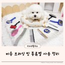 비숑 브러싱 빗 정리 슬리커 콤 핀브러쉬 실제 사용 후기