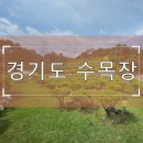 수종목장 | 경기도 수목장의 가족형·부부형·개인형 구조 차이와 선택 방향 안내