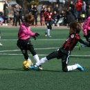 미금초등학교 이미지