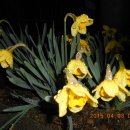 레포츠공원 이미지