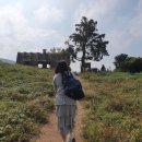 미영목장 이미지