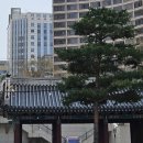 경성골