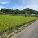 시전리 마을회관 이미지