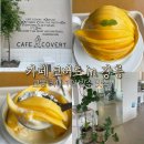코버트 커피 | 강릉 교동 카페 코버트 망고빙수 후기(강릉 빙수 맛집)