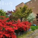 용인효사랑 이미지