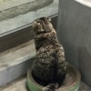 세진베이커리카페 이미지