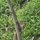 별펜션(나동) 이미지