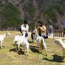 베스트목장 이미지