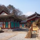 광산구-011 Daum카페