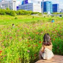 영남카인테리어 | 9월 국내 여행지 추천 베스트10 ❤️
