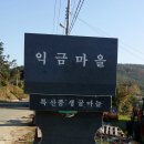 남해안길35(포두면 남성마을-발포-구암-도화면 여의천마을) 이미지