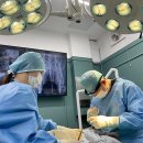 24시 아프리카동물병원 이미지