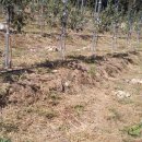 형진농장 이미지