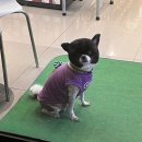 씨유제주중엄점 이미지