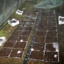 영농농장 이미지