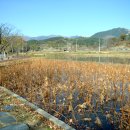 하림공원(이벤트광장) 이미지