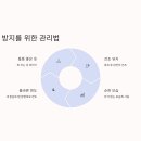 자주고름 이미지