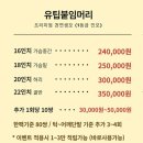 진헤어스타일 - 고양시 덕양구 | 대구붙임머리 잘하는곳 '라라샵' 발레아쥬 투톤 헤어스타일 내돈내산 후기