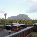 산방산의 품 이미지