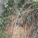 달나무농장 이미지