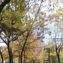 우산공원길 이미지