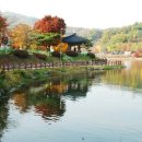 만화당 이미지