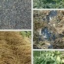 상식농장 이미지