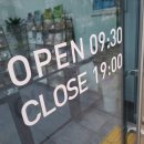 퍼피홀릭 이미지