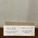 스테이 그로브 | 경주 산내면 감성 카페 자연과 어우러진 산내그로브 카페 후기