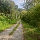 원남저수지 둘레길 이미지