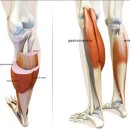 아이알필라테스 이미지