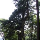 대자연횟집 이미지