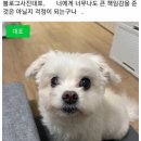 같이 이미지