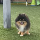 브루하하유치원 이미지