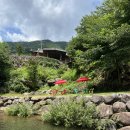 원묵계 계곡 이미지