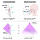 서울바이오시스(주) - 2674 | 서울바이오시스(주)