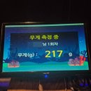 수원실내낚시터 이미지