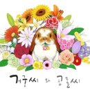 이뉴펜션3 이미지