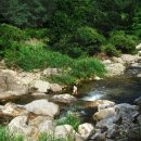 금대민박 이미지