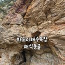 파도리 해수욕장 | 태안 파도리 해수욕장 그리고 해식동굴 아이랑 다녀온 후기!