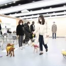 영진우리집 이미지