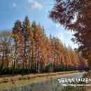 도리정원 이미지