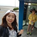 제주더와이 이미지