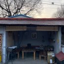 월오포레스트 이미지