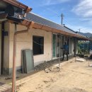 설향이야기 이미지